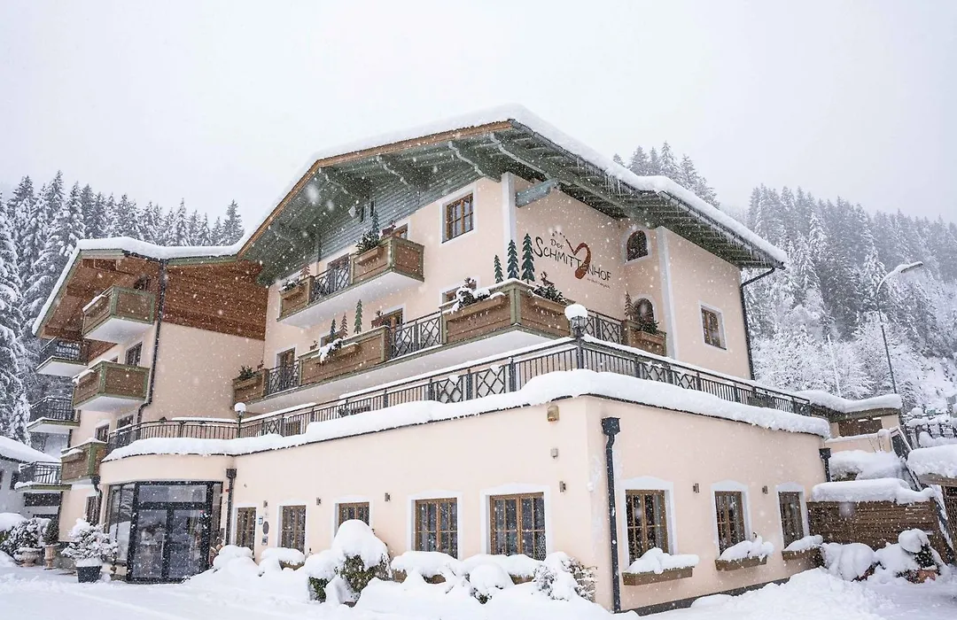 Hotel Der Schmittenhof-1